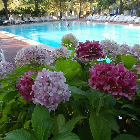Campsite Village Punta Navaccia 3*