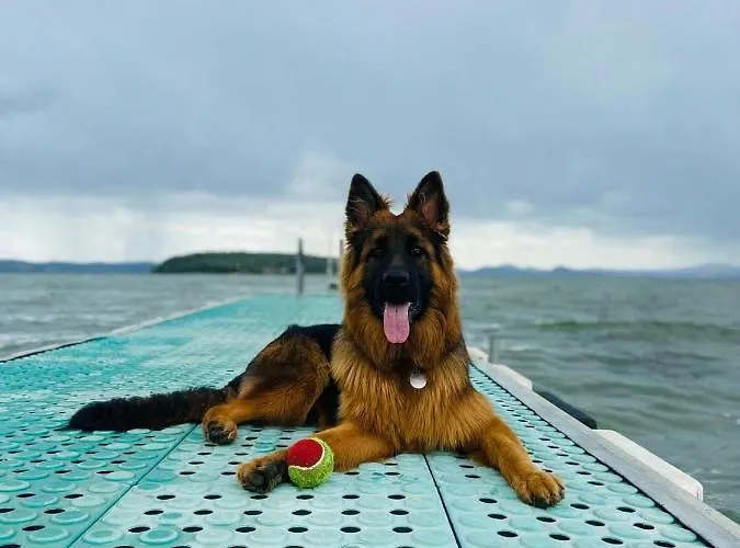 Campingplatz Village Punta Navaccia